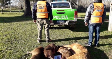 Detuvieron a dos cazadores en Zárate Brazo Largo con un ciervo de los pantanos