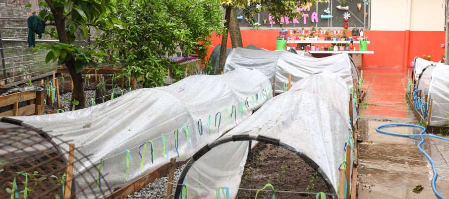 San Fernando: el Colegio Madre Rafaela avanza en el proyecto de una huerta natural orgánica