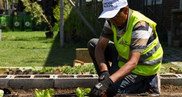 Una dependencia del Municipio de San Fernando tiene su propia huerta orgánica natural