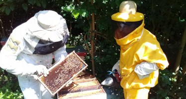 INTA Delta realizó un monitoreo del Apiario del Centro de Formación Profesional de Paraná Miní