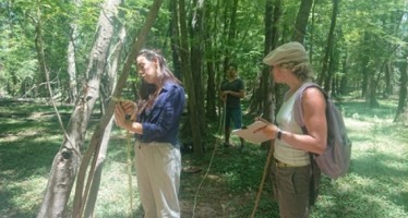 El Comité de Cuenca del Río Luján realizó el primer relevamiento de Acacias Negras