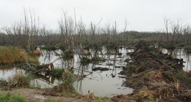 Humedales y biodiversidad en riesgo