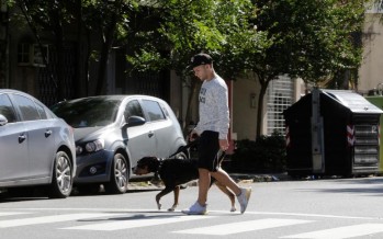 Coronavirus: instructivo oficial para sacar a los perros durante la cuarentena