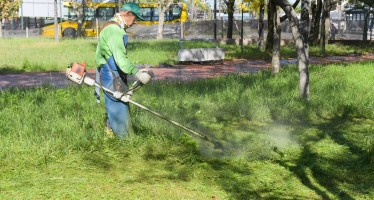 San Fernando: el Municipio realiza operativos de mantenimiento de los espacios verdes