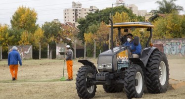 Dengue: operativo de limpieza en Beccar