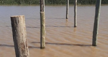 San Isidro denunció usurpación en las islas frente a sus costas