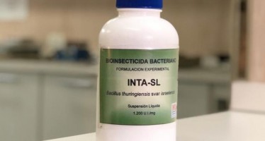 El INTA presentó un producto para combatir las larvas del mosquito transmisor del dengue