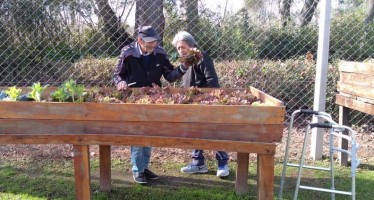 San Fernando: Una huerta para adultos mayores en el Hospital Municipal de Islas “Do Porto”