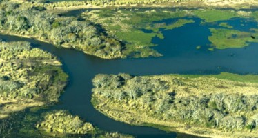 Delta del Paraná: avances para crear un área natural protegida en la zona