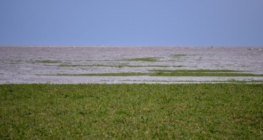 La Reserva de Biósfera del Delta del Paraná cumple 20 años