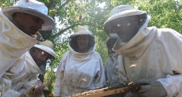 Avances y aprendizajes de los Grupos de Abastecimiento Local de la zona del Delta del Paraná