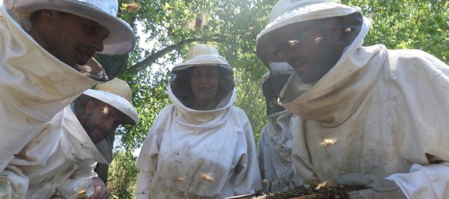 Avances y aprendizajes de los Grupos de Abastecimiento Local de la zona del Delta del Paraná