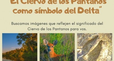 Proyecto Pantano lanza un concurso fotográfico para estudiantes del Delta