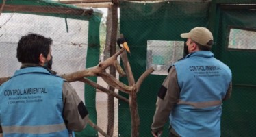 Ambiente decidió que el zoológico de Luján se mantendrá cerrado