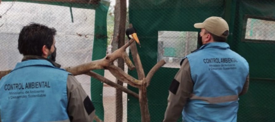 Ambiente decidió que el zoológico de Luján se mantendrá cerrado