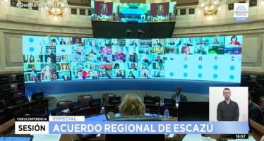 El Acuerdo de Escazú tuvo media sanción en el Senado: ¿por qué es importante?