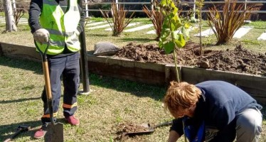 Escobar: se trasplantaron árboles del recreo Puente La Arenera para preservar especies autóctonas