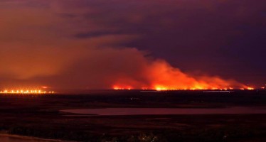 Incendios en el Delta: la Defensoría del Pueblo sostiene la necesidad de una gestión interjurisdiccional