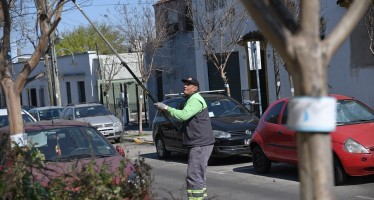 San Fernando realiza un cuidado especial de los crespones de la ciudad