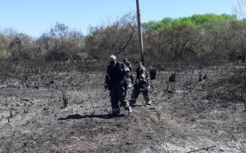 Los Bomberos extinguieron un incendio en el Delta de San Fernando