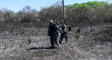 Los Bomberos extinguieron un incendio en el Delta de San Fernando