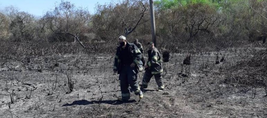 Los Bomberos extinguieron un incendio en el Delta de San Fernando