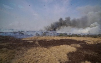 Se reunió nuevamente el Comité de Emergencia Ambiental por los incendios en el delta del Paraná