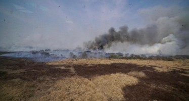 Se reunió nuevamente el Comité de Emergencia Ambiental por los incendios en el delta del Paraná