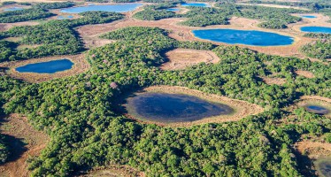 Aseguran que la mayor causa de pérdida de humedales es la intervención humana