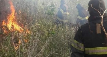 Bomberos de San Fernando apagaron un incendio en el Delta