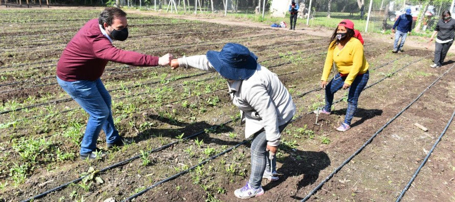 Escobar Sostenible: Sujarchuk recorrió la primera huerta orgánica municipal del distrito