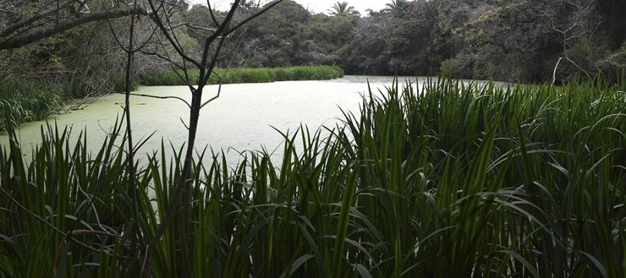 ¿Por qué se celebra hoy el Día de los Parques y Reservas Naturales Bonaerenses?