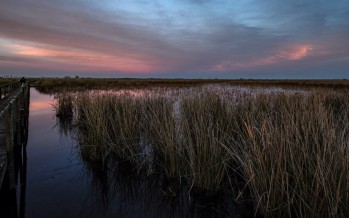 El turismo ecológico tiene opciones ideales en 23 humedales declarados sitios Ramsar