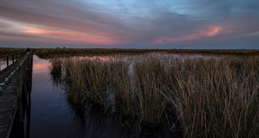 El turismo ecológico tiene opciones ideales en 23 humedales declarados sitios Ramsar