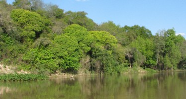 Dictamen favorable para la creación de la Universidad Nacional del Delta