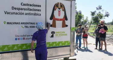 Dónde serán los operativos de zoonosis de esta semana en San Fernando