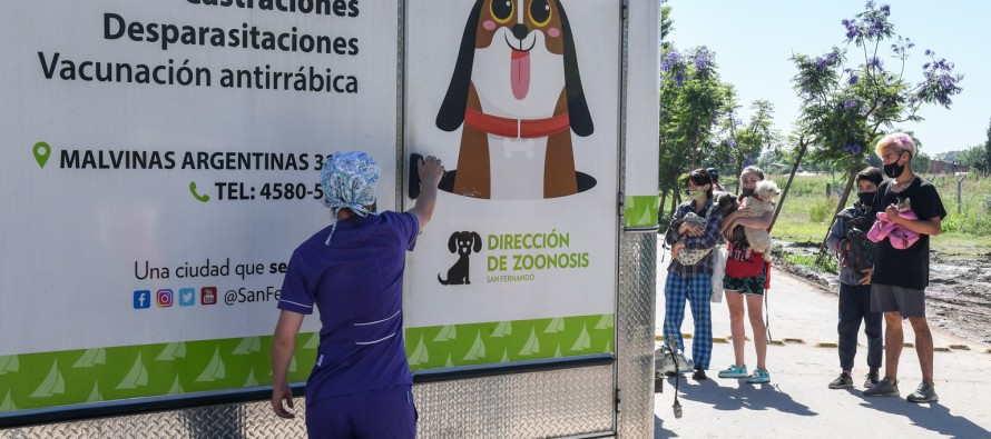 San Fernando realiza operativos de ‘Zoonosis en tu Barrio’ en distintos puntos de la ciudad