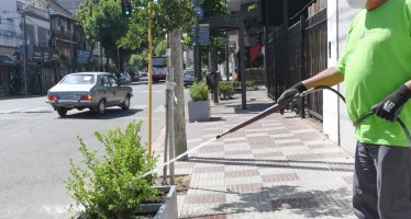 San Fernando: parquización y mantenimiento de avenidas, centros comerciales y plazas