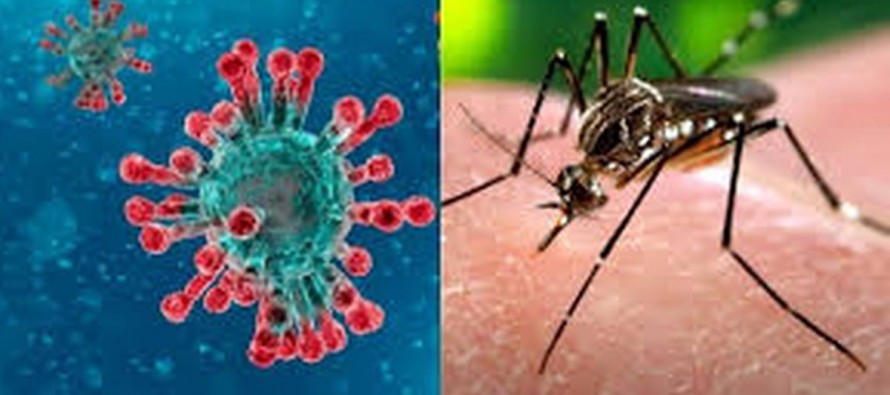 COVID-19 y dengue: diferencias y similitudes