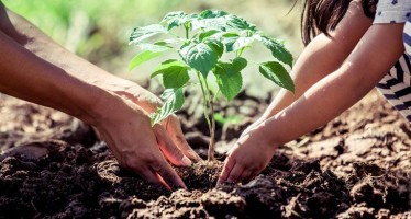 Diferentes organizaciones ambientales piden la aprobación de la Ley de Educación Ambiental