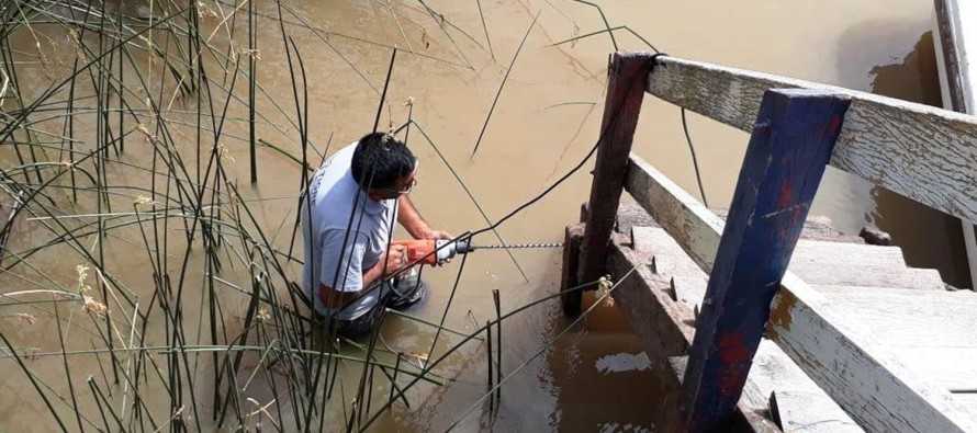 Continúan los trabajos de mantenimiento integral en el Delta de Tigre