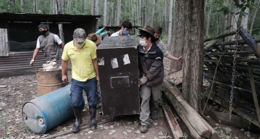 Rescataron a un ciervo de los pantanos en el Delta sanfernandino