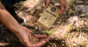 Escobar: se entregaron más de 10 mil kits de semillas de verduras y hortalizas y 90 mil de semillas aromáticas