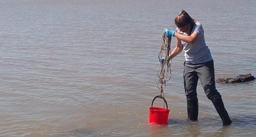 Tomaron muestras del Río de la Plata para conocer la calidad del agua