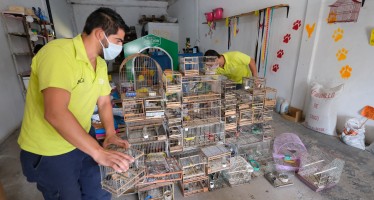 Tráfico de fauna silvestre: Ambiente decomisó aves en una forrajería en Pilar