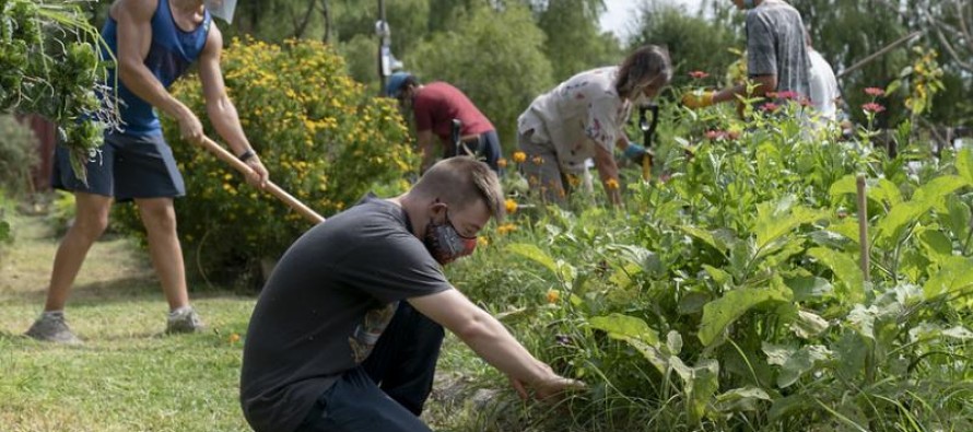 Está abierta la inscripción al curso de huertas agroecológicas en San Isidro