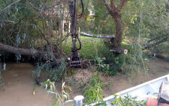 Delta de Tigre: trabajos de destronque y reparación de muelles, puentes y luminarias