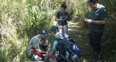 Reforestar con plantas nativas, una iniciativa para repensar la conservación ambiental