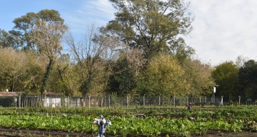 Un recorrido por las huertas agroecológicas municipales de Ingeniero Maschwitz y Maquinista Savio