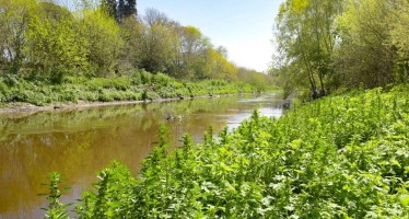 Consulta pública por obras en la Reserva Natural Urbana Río Reconquista